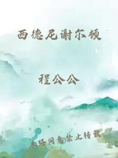 西德尼谢尔顿