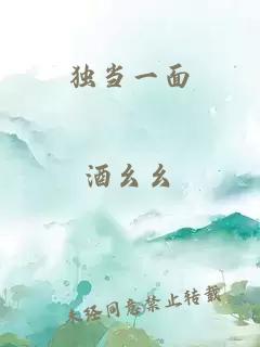 独当一面