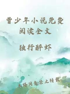 曾少年小说免费阅读全文