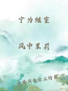 宁为继室