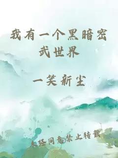 我有一个黑暗密武世界