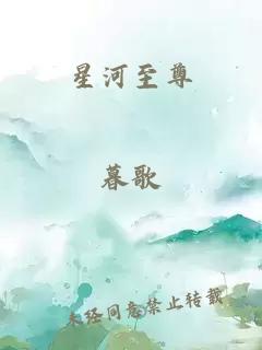 星河至尊
