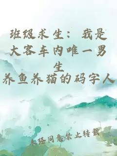 ç­çº§æ±çï¼ææ¯å¤§å®¢è½¦åå¯ä¸ç·ç