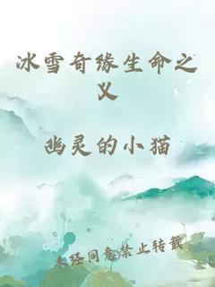 冰雪奇缘生命之义