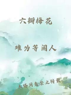 六瓣梅花
