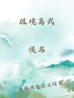 极境高武