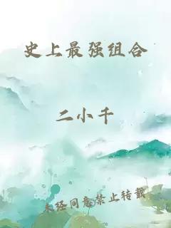 史上最强组合