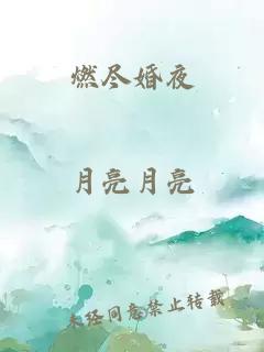 燃尽婚夜