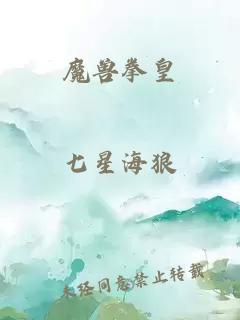 魔兽拳皇