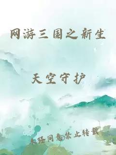 网游三国之新生
