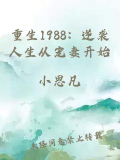 重生1988：逆袭人生从宠妻开始