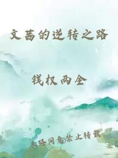 文茜的逆转之路