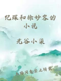 纪琛和徐妙容的小说