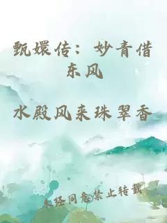 甄嬛传：妙青借东风