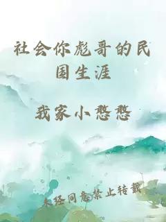 社会你彪哥的民国生涯