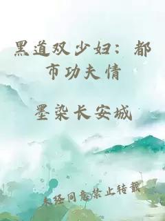 黑道双少妇：都市功夫情