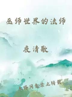 巫师世界的法师