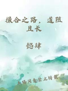 撮合之路，道阻且长