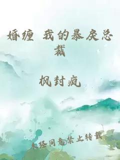 婚缠 我的暴戾总裁