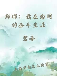 郑锦：我在南明的奋斗生涯