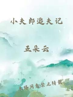 小夫郎追夫记