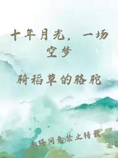 十年月光，一场空梦