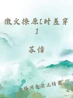 微火撩原[时差穿]