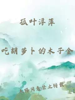 孤叶浮萍