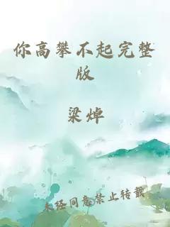 你高攀不起完整版