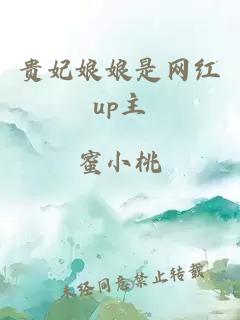 贵妃娘娘是网红up主