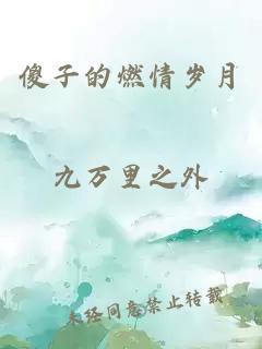 傻子的燃情岁月