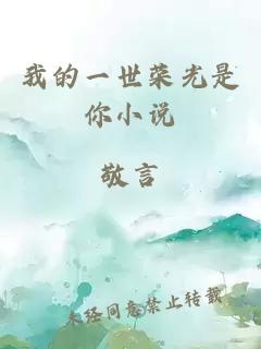 我的一世荣光是你小说