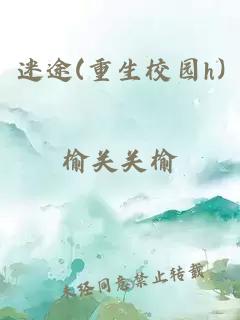 迷途(重生校园h)