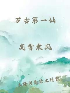 万古第一仙