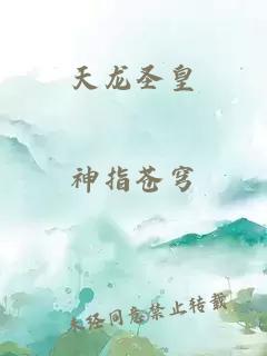 天龙圣皇