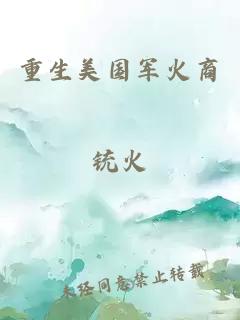 重生美国军火商