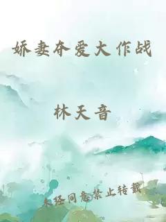 娇妻夺爱大作战