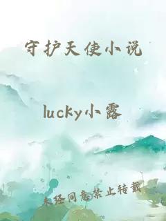 守护天使小说