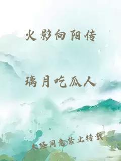 火影向阳传