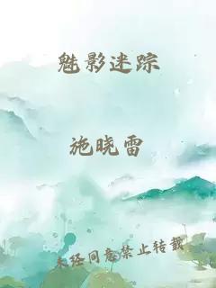 魅影迷踪