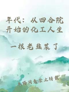 年代：从四合院开始的化工人生