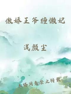 傲娇王爷缠懒妃
