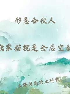 形意合伙人