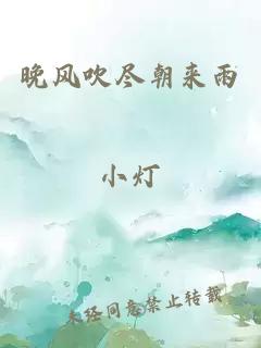 晚风吹尽朝来雨