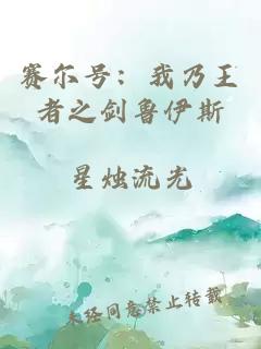 赛尔号：我乃王者之剑鲁伊斯