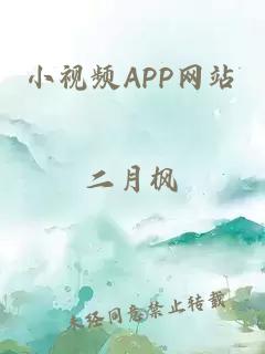 小视频APP网站
