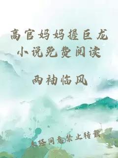 é«å®å¦å¦æ¡å·¨é¾å°è¯´åè´¹éè¯»
