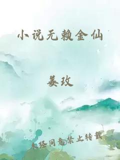 小说无赖金仙