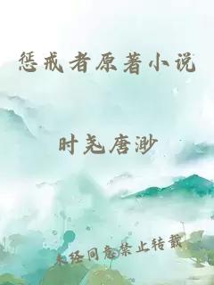 惩戒者原著小说
