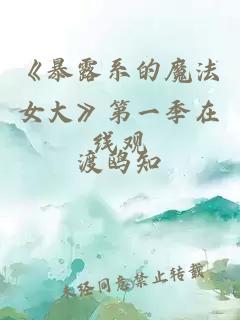 ãæ´é²ç³»çé­æ³å¥³å¤§ãç¬¬ä¸å­£å¨çº¿è§